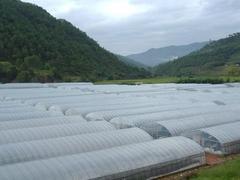 什么地方有賣(mài)新消霧膜 遼寧消霧膜